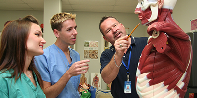 Professor teaching students using an anatomical model