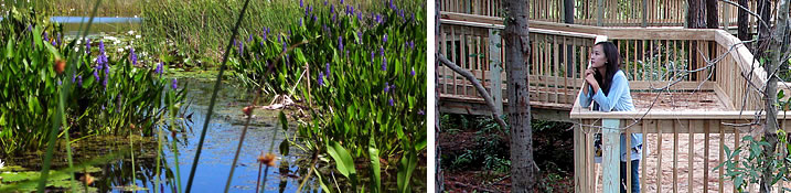 SPC Habitat Parks