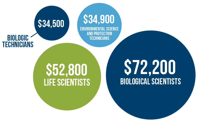 science-job-outlook