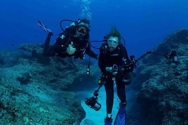 SPC Alumna Sylvia Earle: First Hero for the Planet banner image