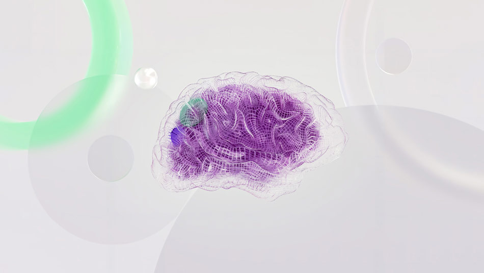 illustration of a purple loofa spinge inside a human brain