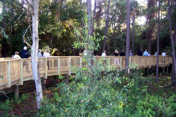 people on a boardwalk through SPC's 40-acre Natural Habitat Park on St. Petersburg College's Seminole Campus