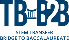 Tampa Bay Bridge to Baccalaureate Program Stem Transfer logo