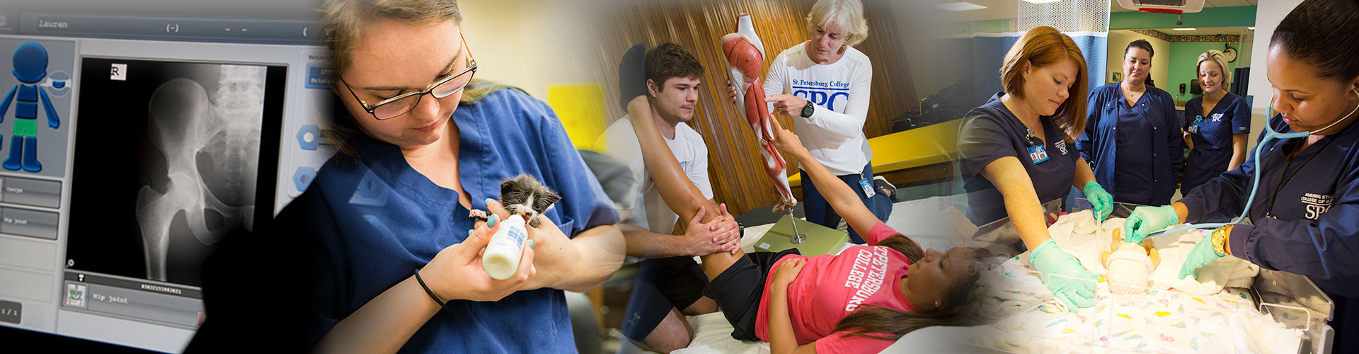 A collage including an x-ray, a student feeding kitten, physical therapy students and pediatric nursing students