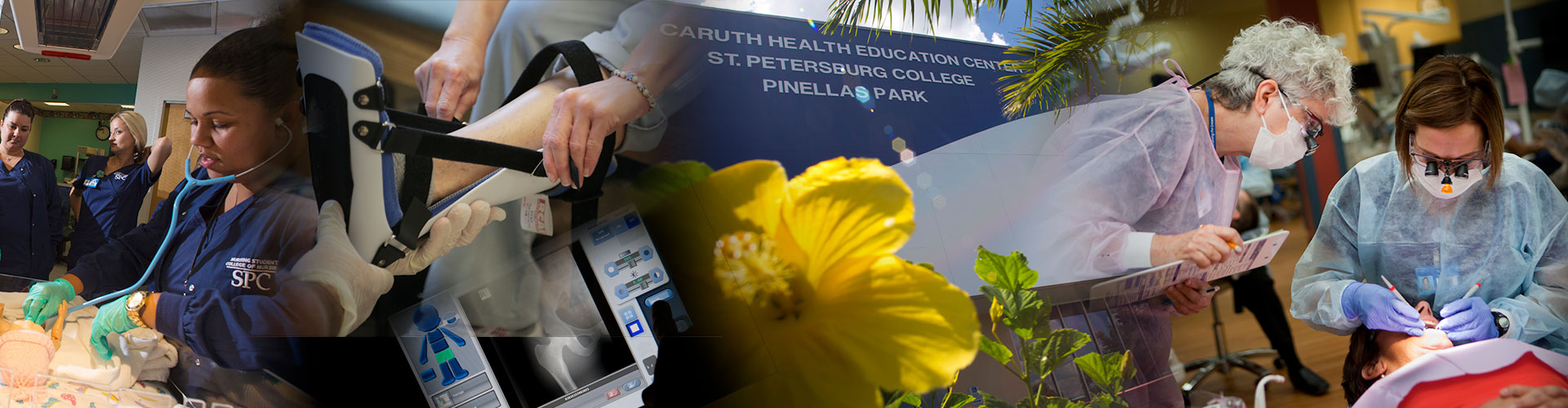 a collage of health science pictures, a yellow flower, students wearing stethoscope and dental hygiene clinic