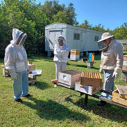 a group of beekeepers overseeing bees in an apiary
