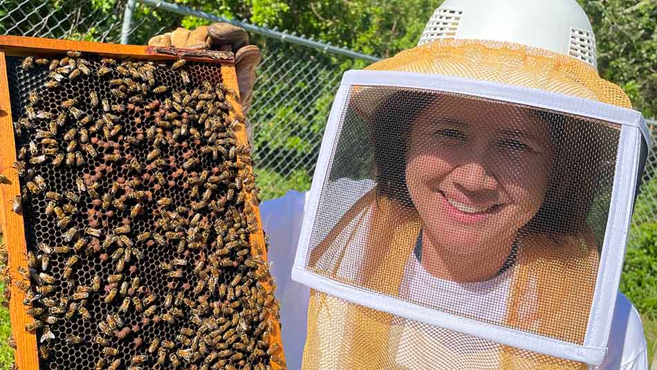 Professor Maura Scanlon wearing a beekeepers mask holding a tray of bees