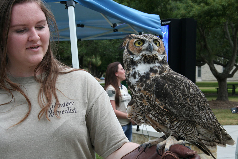 An SPC student holding an owl at the Clearwater Campus fair