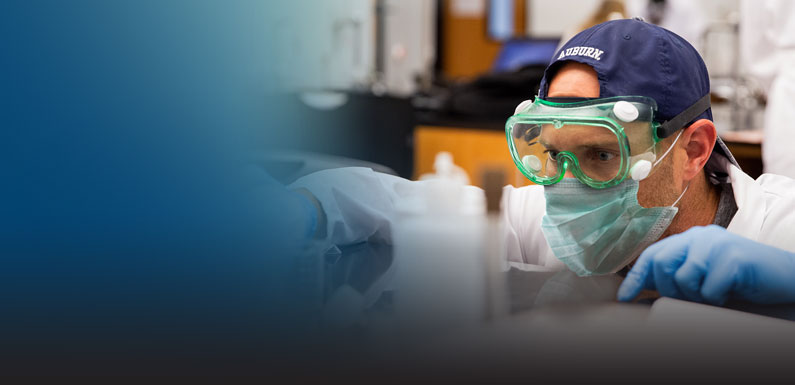 Faculty Staff St Petersburg College