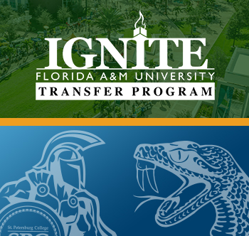 IGNITE image