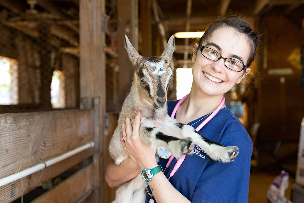 SPC student female student in blue scrubs holding a brown and white goat in front of a stable