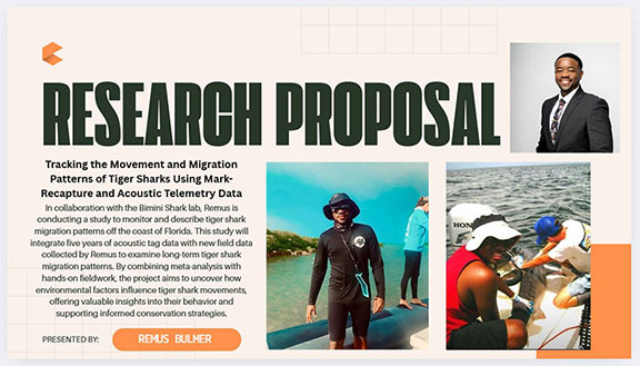 shark research proposal by Remus Bulmer with words that explain that