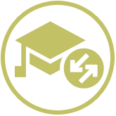 aa icon