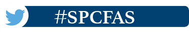 Twitter logo image